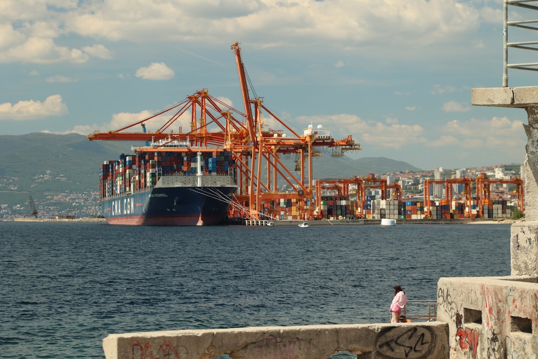 Navigating CBSA SIMA Enforcement for Frozen Strawberries