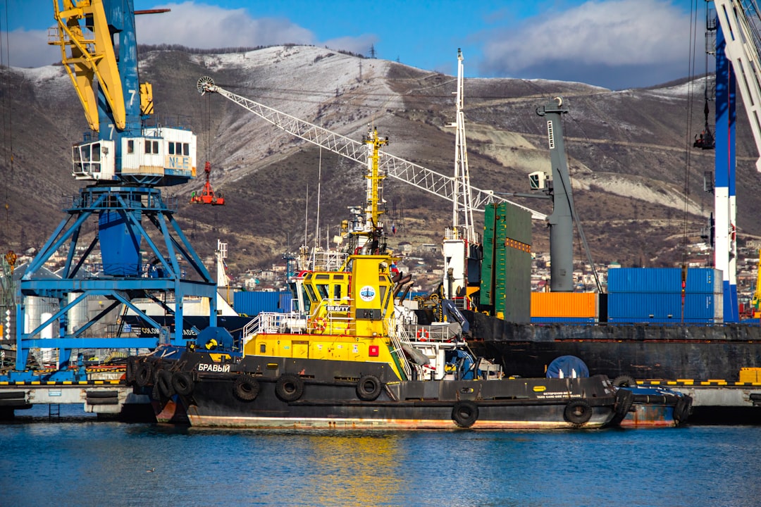 Navigating EU Regulatory Intersections for Synthetic Leather Imports (HS 560314)