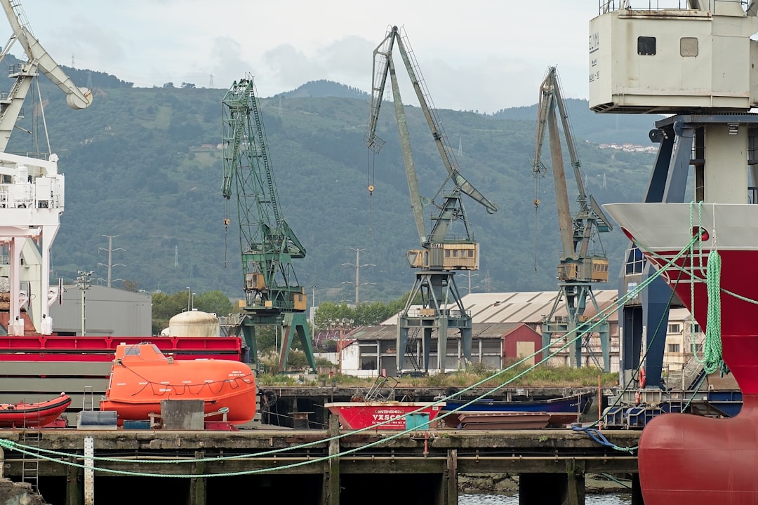 Strategic Importation of Frozen Vacuumed Shrimps from China to Nigeria