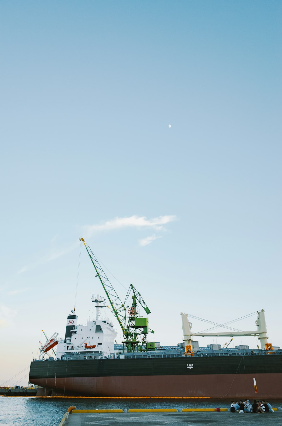 Navigating USDA NOP and Phytosanitary Protocols for Cosmetic Imports