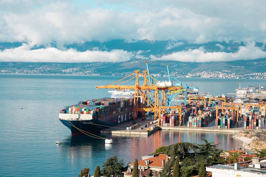 Navigating Swiss VOC Incentive Tax Compliance for Electric Toothbrushes (HS 850980)