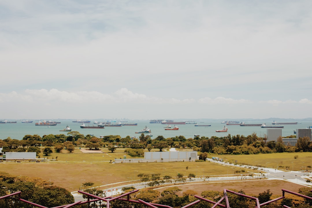 Strategic Carbon Reporting for Tomato Paste Imports (HS 200290)